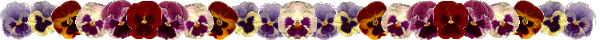Pansy Line