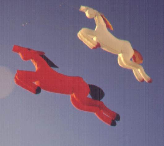 [Two horse windsocks]