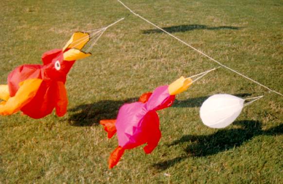 [egg, duckling and duck windsock]