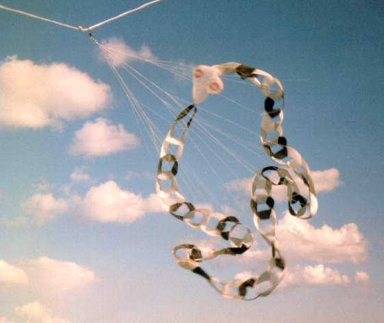 [Ring snake linejunk]