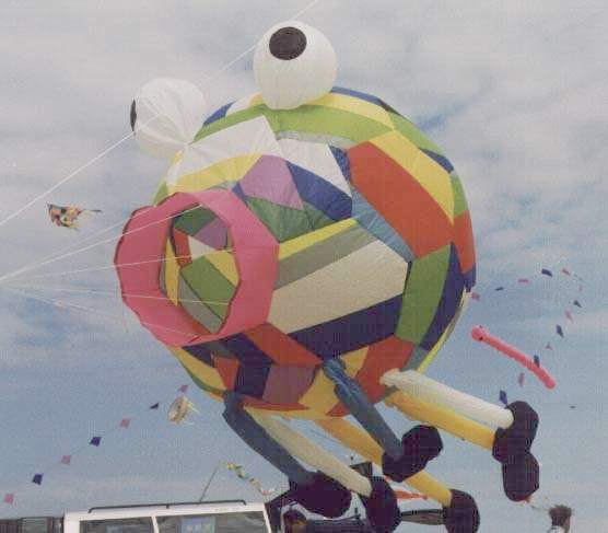 [Spider windsock with 6 legs]