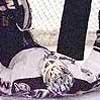 Ranford