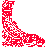 Chinook Cycling Club Logo