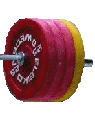 Collar and Weights