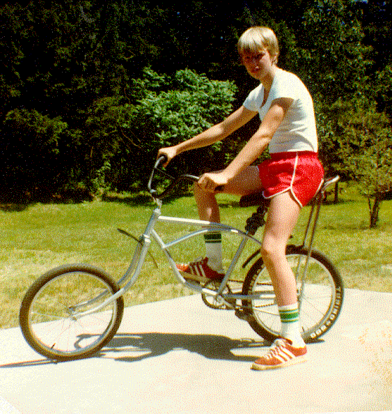 bikegeek.gif (145022 bytes)