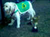 Byron and the 2001 Championship Cup