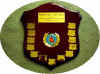 International Rules Shield