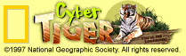 cyber-tiger