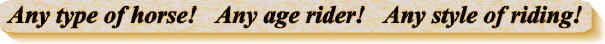 Any1.jpg (82900 bytes)