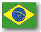 BRA_flag-grey_sm.gif (815 bytes)