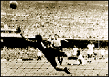 schiaffino.GIF (9722 bytes)