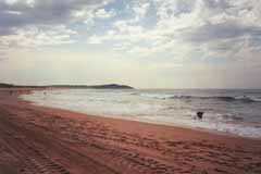 Deewhy with Long Reef in Distance