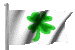 Shamrock Flag
