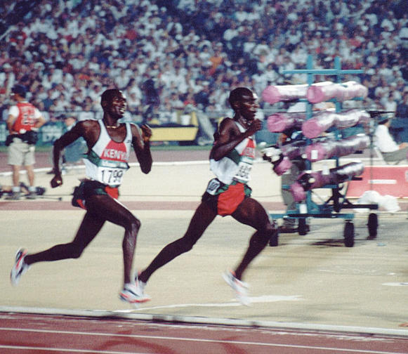steeplechase 2