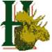 Official Website