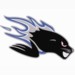 Official Website