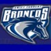 Official Website