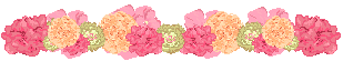 SSspringflwrline.gif (6616 bytes)