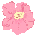 SSspringpinkflowericon.gif (1277 bytes)