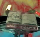 go to a book of shadow and light