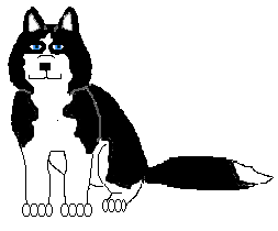 husky