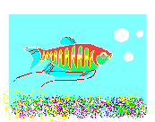 Fish, RainbowFin