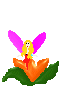 Fae