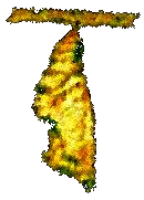 Chrystalis Faerie