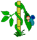 Faerie Baby