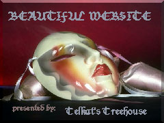 Beauty Award from Telkat