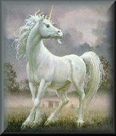 Unicorn