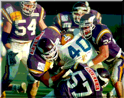 Vienna Vikings