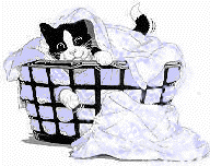 cat in laundry basket