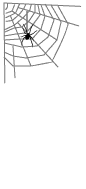 ANIMATED 
SPIDER