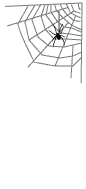 ANIMATED SPIDER