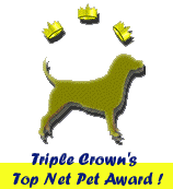 Triple Crown's Top Net Pet Award