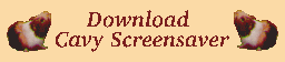 Download Cavy Screensaver