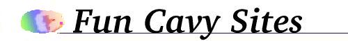Fun Cavy Sites
