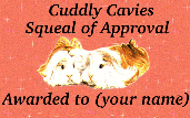 Cuddly Cavy Award