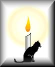 kitty vigil