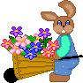 Easter Bun-by Vikimouse
