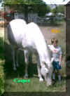 ccasper