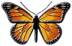 butfly.jpg (4871 bytes)