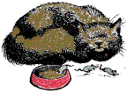 mcat2.gif (5789 bytes)
