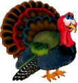 turkey.jpg (17052 bytes)
