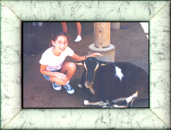 picture of goat