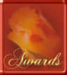 My Awards