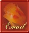 Email Me