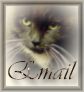 Email Me
