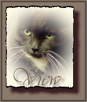 View My Guestbook